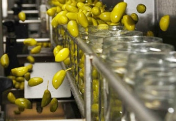 خط تولید کنسرو زیتون